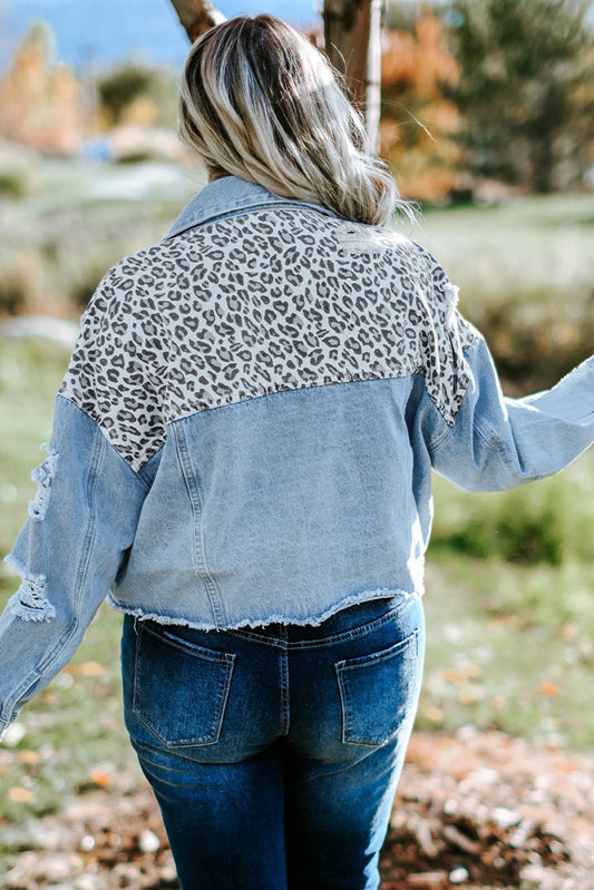 Plus Size Wildly Chic Leopard Print Distressed Denim Jacket - Kalizeh